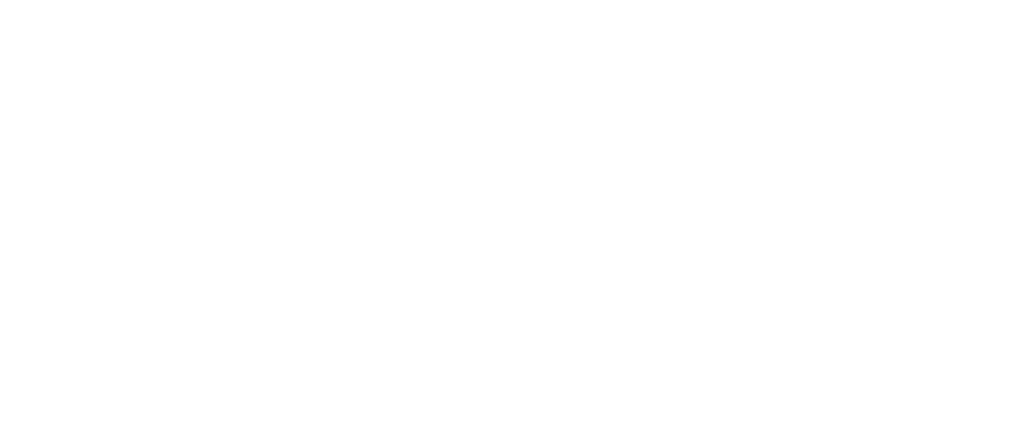CVE - Logo White